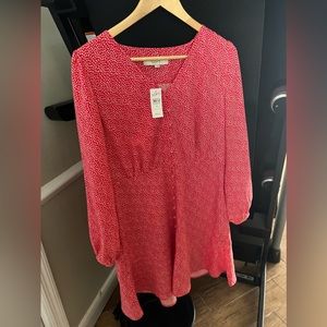 Loft dress.  NWT never worn